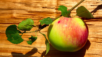 Image showing Top view red apple. 