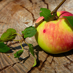 Image showing Top view red apple. 