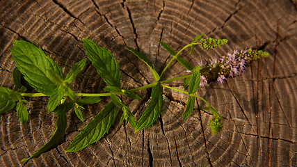 Image showing peppermint on wooden table