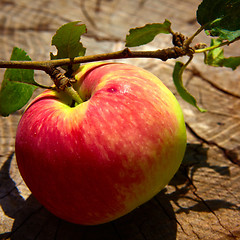 Image showing Top view red apple. 