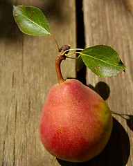 Image showing Fresh organic pear on old wood. 