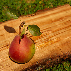 Image showing Fresh organic pear on old wood. 