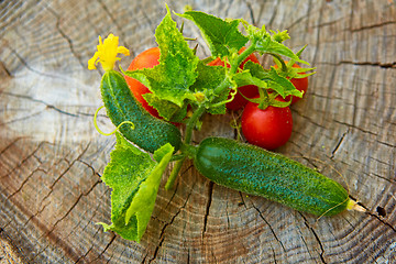 Image showing The concept of healthy eating with organic cucumber and tomatoes