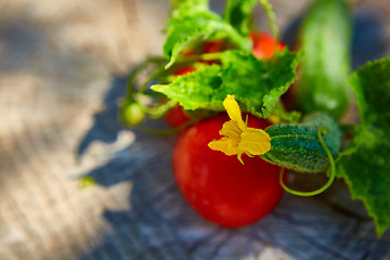 Image showing The concept of healthy eating with organic cucumber and tomatoes