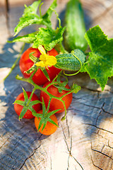 Image showing The concept of healthy eating with organic cucumber and tomatoes
