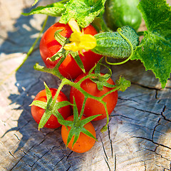 Image showing The concept of healthy eating with organic cucumber and tomatoes