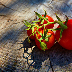 Image showing Fresh organic tomatoes 