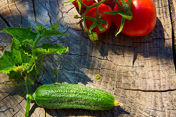 Image showing The concept of healthy eating with organic cucumber and tomatoes