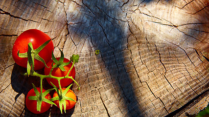 Image showing Fresh organic tomatoes 