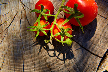 Image showing Fresh organic tomatoes on wooden table