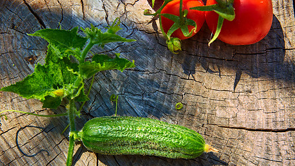 Image showing The concept of healthy eating with organic cucumber and tomatoes