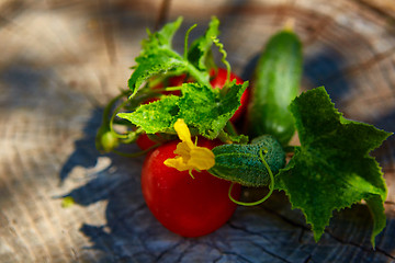 Image showing The concept of healthy eating with organic cucumber and tomatoes