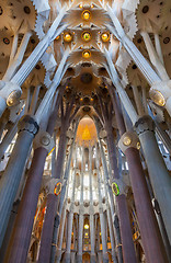 Image showing Sagrada Familia Interior