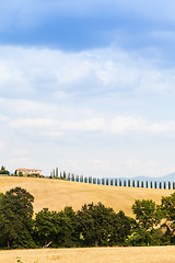 Image showing Countryside in Tuscany