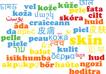 Image showing Skin multilanguage wordcloud background concept
