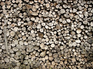 Image showing firewood stock