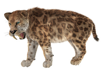 Image showing Big Cat Smilodon