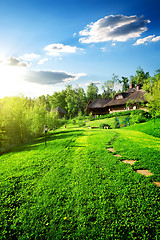 Image showing Wooden houses on meadow