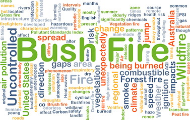 Image showing Bush fire background concept