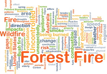 Image showing Forest fire background concept