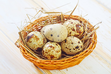 Image showing quail eggs