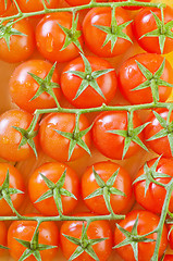 Image showing tomato