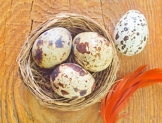 Image showing quail eggs