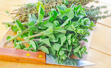 Image showing oregano with thyme