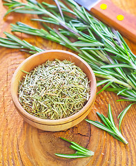 Image showing dry rosemary