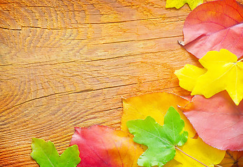 Image showing leaves on wooden background