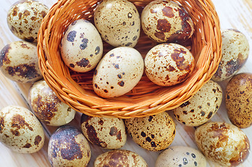 Image showing quail eggs