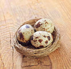 Image showing quail eggs