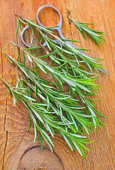 Image showing rosemary