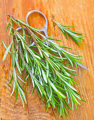 Image showing rosemary