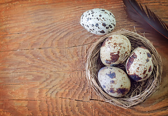 Image showing quail eggs