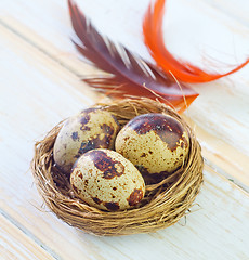 Image showing quail eggs