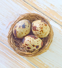 Image showing quail eggs