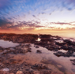 Image showing sea coast