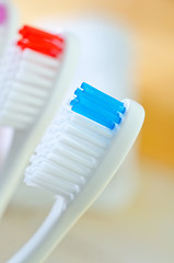 Image showing  toothbrushes