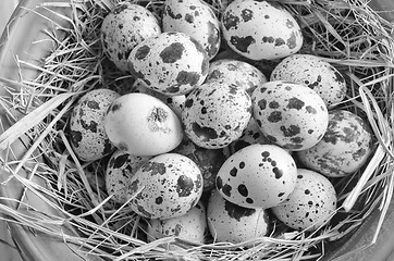 Image showing raw guail eggs