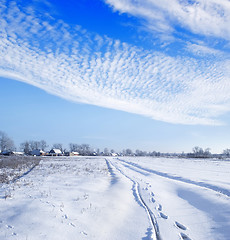 Image showing winter