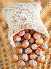 Image showing hazelnuts