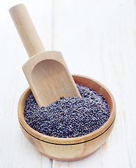 Image showing poppy seeds