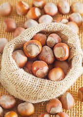 Image showing hazelnuts