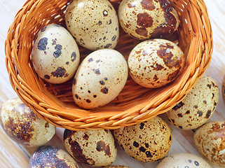 Image showing quail eggs