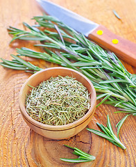 Image showing dry rosemary