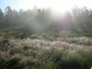 Image showing Early morning