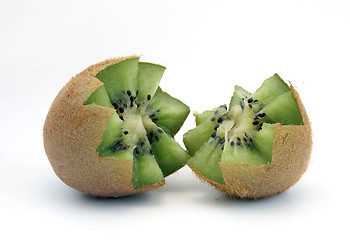 Image showing Kiwi