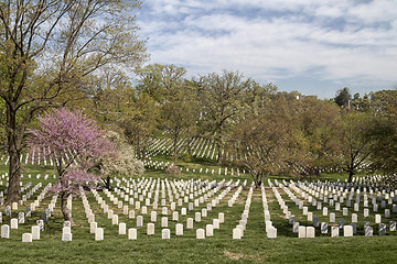 Image showing Arlington National Cemetery