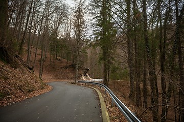 Image showing Road in autumn forest landscape